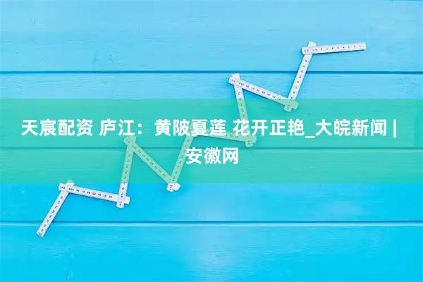 天宸配资 庐江：黄陂夏莲 花开正艳_大皖新闻 | 安徽网