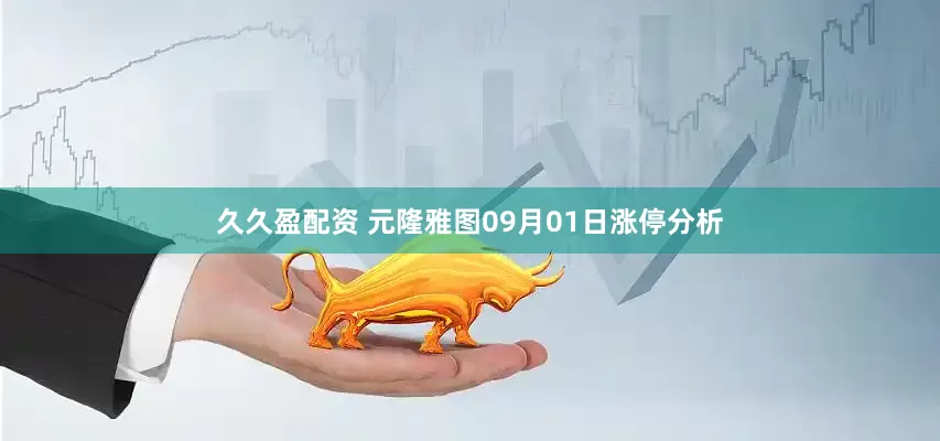 久久盈配资 元隆雅图09月01日涨停分析