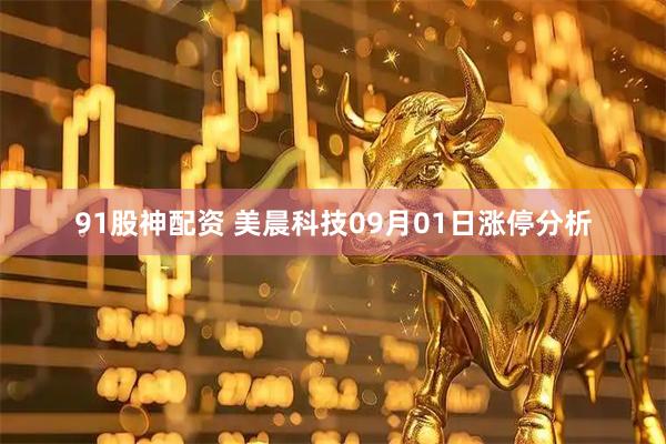 91股神配资 美晨科技09月01日涨停分析
